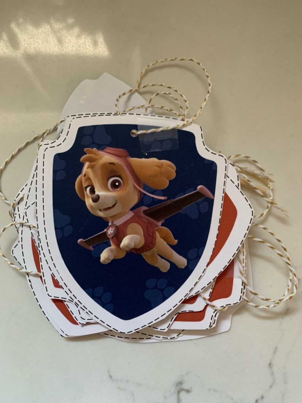 Homemade Paw Patrol Birthday Banner